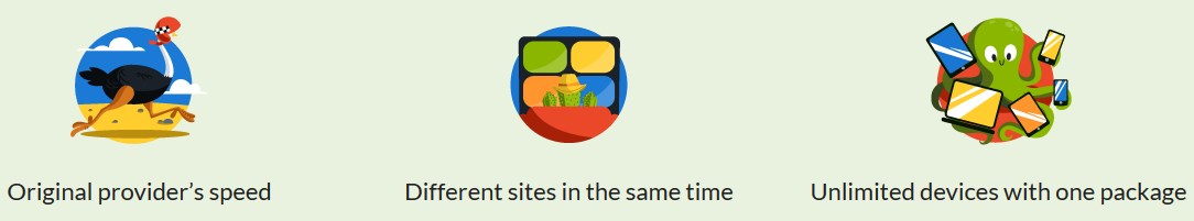cactus dns features